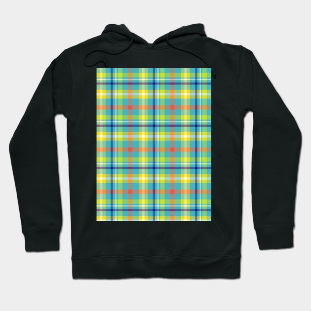 Colorful Plaid Pattern Art Hoodie by Designoholic